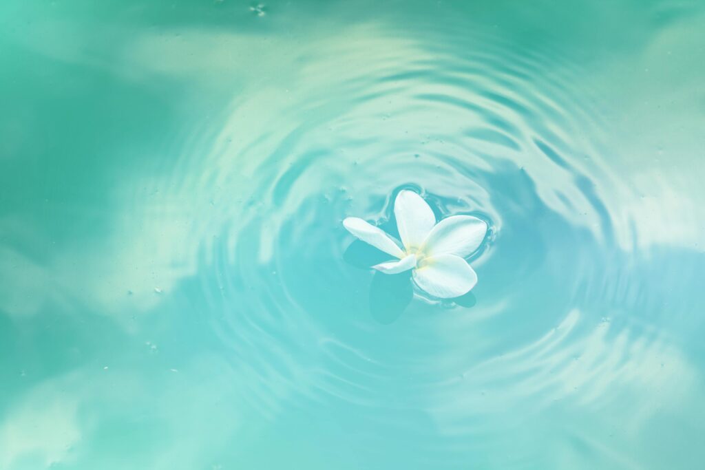 acqua