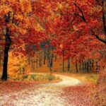 ottobre